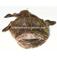 main seafood products frozen monkfish raw fresh material